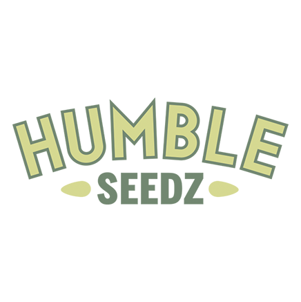 logo 8b